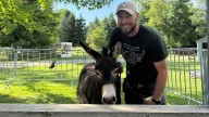 'Long walks around the farm': This Ontario donkey is going viral for his dating profile