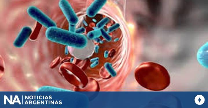 En Argentina se registran unos 300 casos al año de Síndrome Urémico Hemolítico