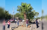 Jornada de limpieza en Minas de Barroterán