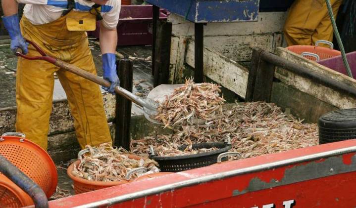 Slidell diners eating authentic shrimp | New Orleans CityBusiness