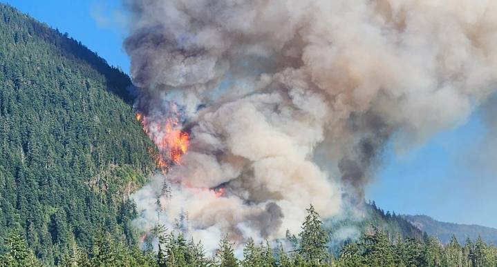 Wildfire near Port Alberni, B.C., triggers evacuations, road closure