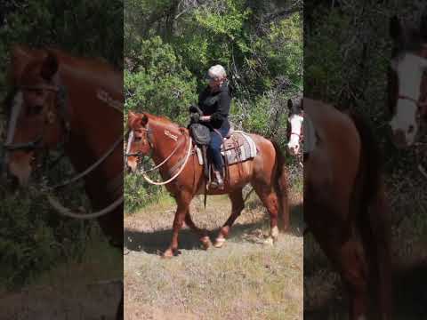 Above California | California's hidden 'cowboy commune'