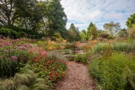 'Knoll offers a masterclass in the adaptability of grass': The Dorset garden that went from tourist attraction to specialist nursery