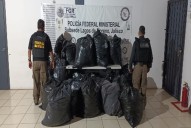 Catean finca en Teocaltiche y aseguran 145 kilos de mariguana