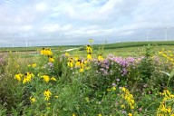 Will Trump’s ‘Big Beautiful Bill’ help farmers in the Midwest and Great Plains? It depends