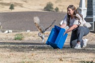 ‘Like a miracle’: Rescued Oregon barn owl finally flies free