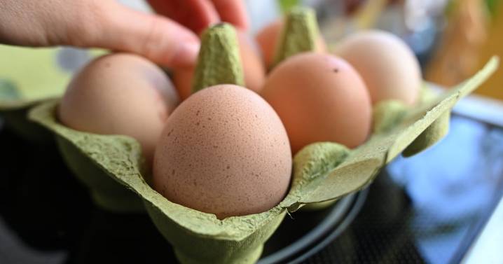 Salmonella Outbreak From Eggs Leaves Almost 100 People Sick in 14 States