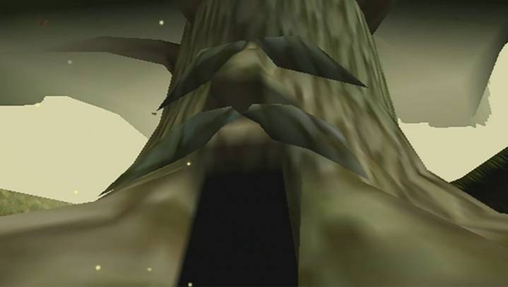 Experts Warn Climate Change Could Kill Great Deku Tree Within 12 Years