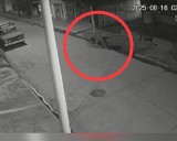 CONCEPCIÓN: DETENIDO TRAS ROBAR UNA MOTO DEL INTERIOR DE UNA VIVIENDA