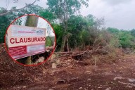 PROFEPA clausura predio en Mérida por devastación de selva en la Reserva Cuxtal