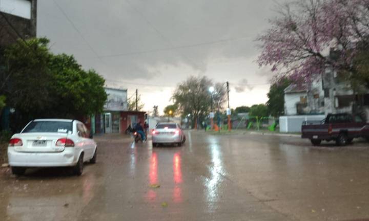Fuertes tormentas provocaron caída de árboles y voladura de techos en varias localidades