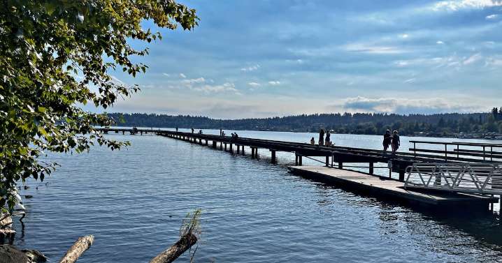 Travels with Charlie: Summer Day at Log Boom Park