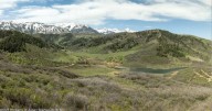 Aspen Real Estate Snapshot, Aug. 18, 2025