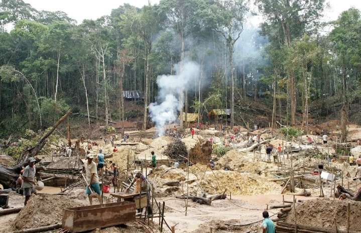 ONU alerta sobre esclavitud moderna vinculada a la deforestación en Brasil