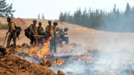 2 firefighters battling Washington state wildfire arrested by Border Patrol