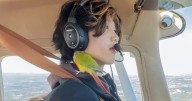 Influencer Pilot Ethan Guo, 19, Stuck in Antarctica After Unauthorized Landing