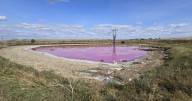 Why this lake turned bright pink