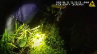 Deputies find man lost in waist-deep water at Florida preserve