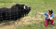 Locals Day coming to Large Animal Research Station