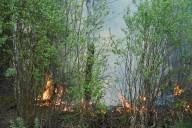 Satellite images reveal conditions that contributed to 'catastrophic' wildfire season