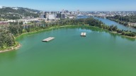 Harmful algae blooms again in Willamette River lagoon