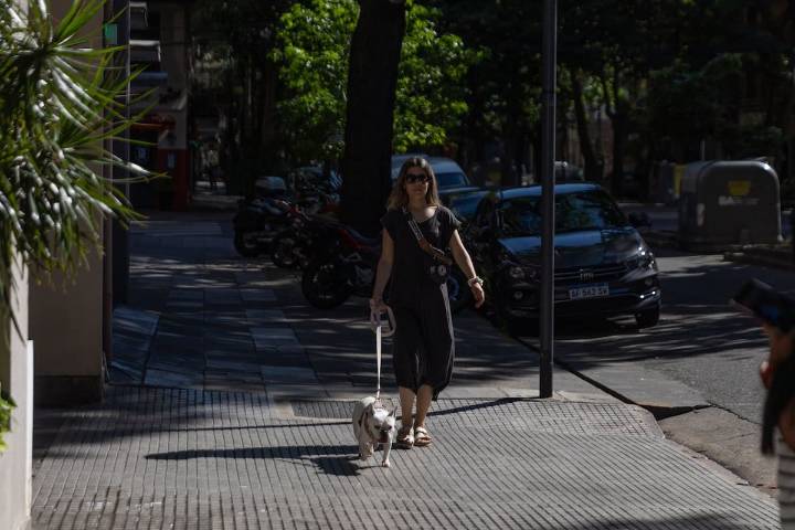 Perros intoxicados en Palermo. Qué se sabe hasta el momento y por dónde recomiendan no pasear con mascotas