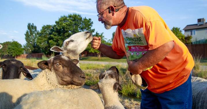 How AgrAbility aids the injured, aging in agriculture