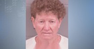 Elba shooting: Woman's mental fitness for trial under review