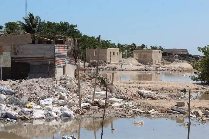 Manglares de Progreso, en riesgo por su invasión para constuir casas