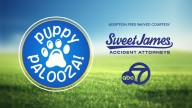 Celebrate National Dog Day with our biannual Puppy Palooza pet adoption event