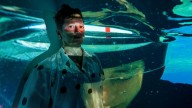 Phe Gallery reflexiona sobre la crisis ambiental en Canarias desde la mirada de 18 jóvenes artistas