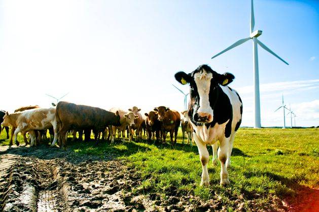State’s latest renewables auction ‘likely to fail to meet procurement targets’, experts warn
