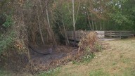 12 suspicious fires investigated in Kitsap County