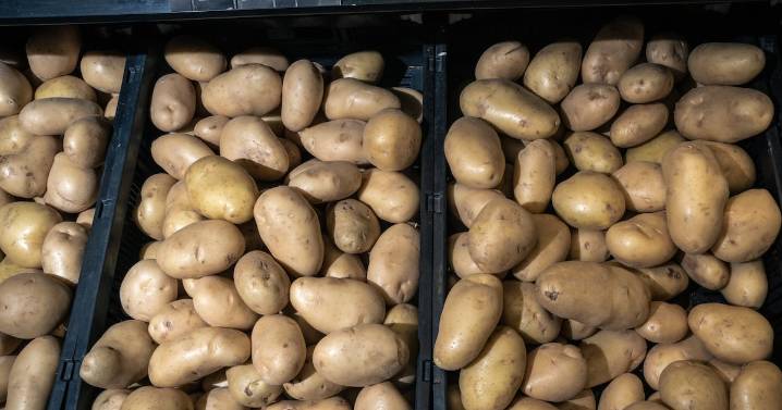 De raíz despreciada a alimento que salvó a Europa