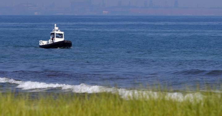 Region man pulled from Lake Michigan pronounced dead