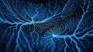 Vanda: Next Phase Of Fanapt Growth Might Be With Bysanti Advancement (NASDAQ:VNDA)