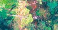 Hace más de 11 años y medio que no era derribado un helicóptero en un ataque terrorista en Antioquia