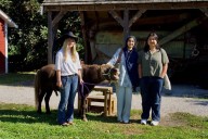 Out & About: Heritage farm in Steveston hosts community