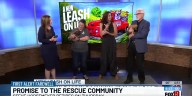 Steve Horstmeyer's promise to the rescue community