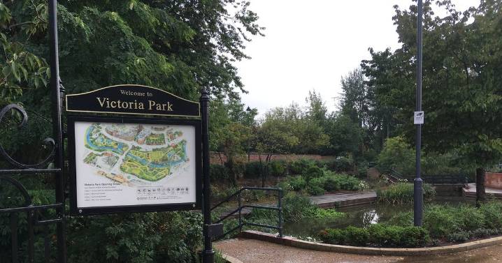 Councils act after girl, 7, killed by falling tree