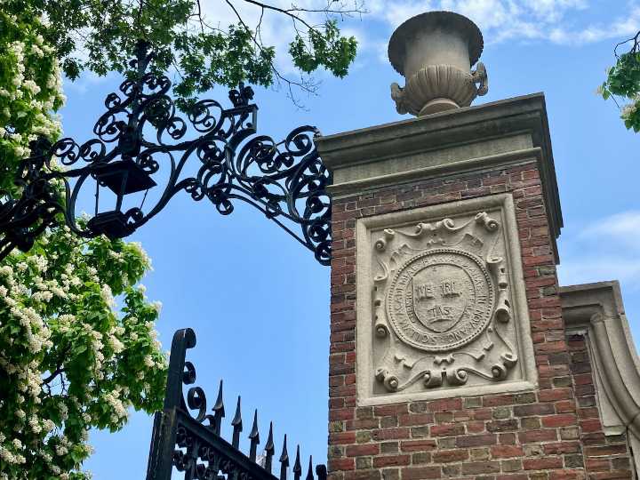 Harvard patents at risk as Trump administration launches review
