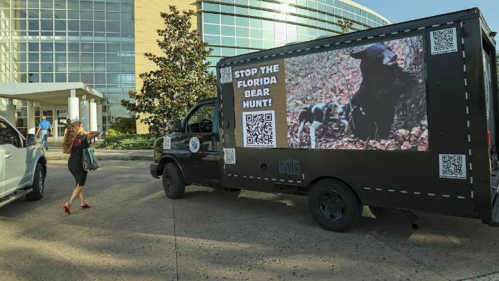 Distorting the debate on Florida’s bear hunt