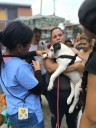 Realizarán gran jornada veterinaria este sábado en Los Teques