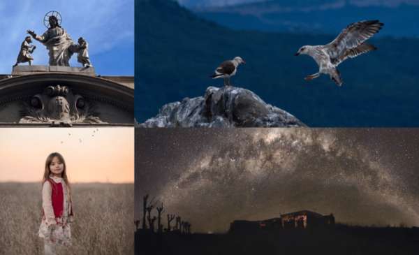 Las fotos de la semana en el Instagram de La Nueva.