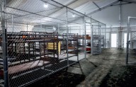 Confirman 81 mexicanos detenidos en ‘Alligator Alcatraz’