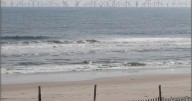 New Jersey’s Save LBI Applauds Federal Offshore Energy Process Reform, Calls for Early Public Engagement and Major Rule Revisions
