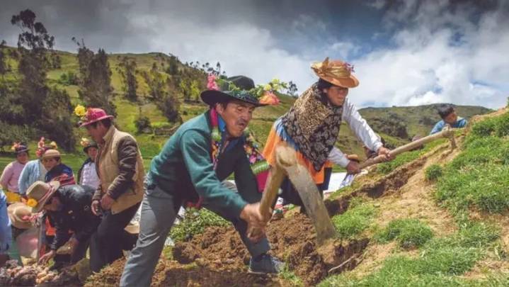 Economía peruana crece 4.52 % en junio: Manufactura, agro y construcción lideran, pero restaurantes y finanzas marcan en rojo