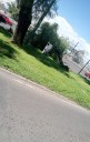 CUIDADO!! COLAPSADA LA CALZADA IGNACIO ZARAGOZA EN AMBOS SENTIDOS POR CAÍDA DE ÁRBOL Y SOCAVÓN 