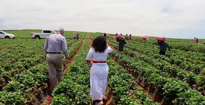 EE.UU. pierde 1.2 millones de trabajadores inmigrantes en 2025