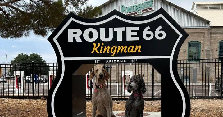 New Route 66 Dog Park to celebrate Kingman’s fuzzy friends
